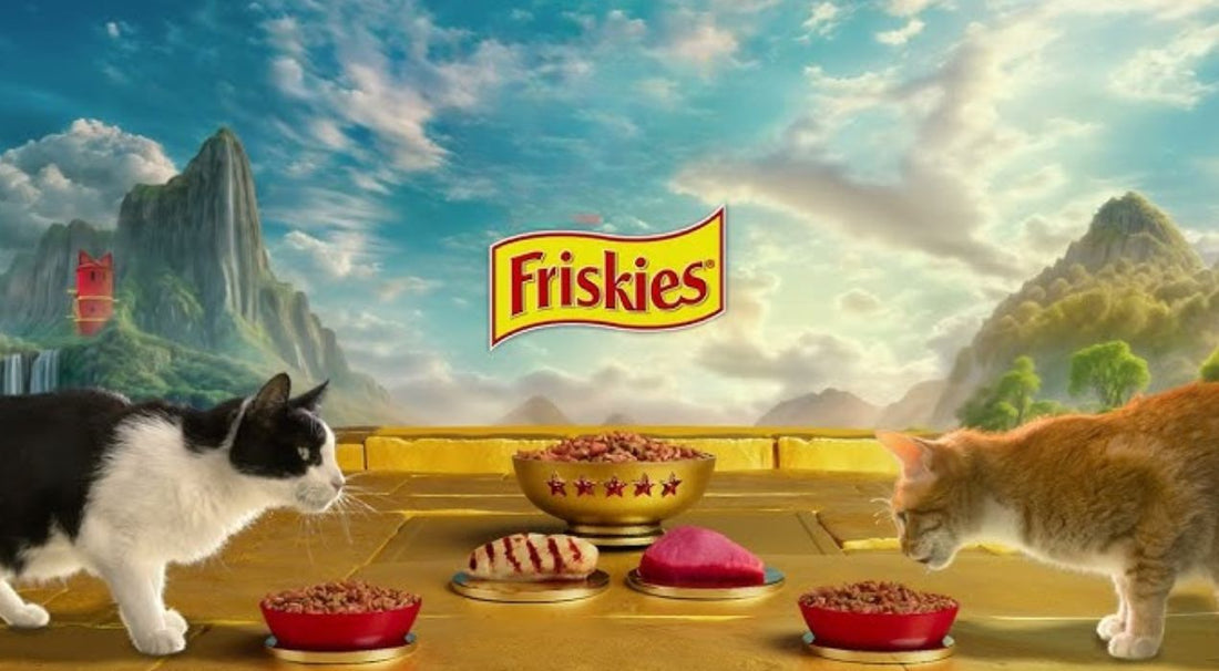 طعام القطط ​friskies 