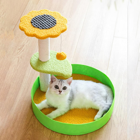 Cat scratcher sunflower plant