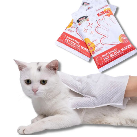 قفازات مناديل مبللة 6 قطع