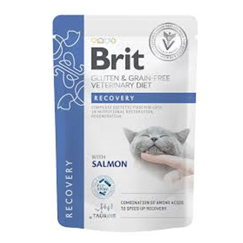 Brit Veterinary Diet Recovery with Salmon for Cats – Complete Recovery Wet Food – 85g