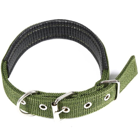 Dog Collar 2