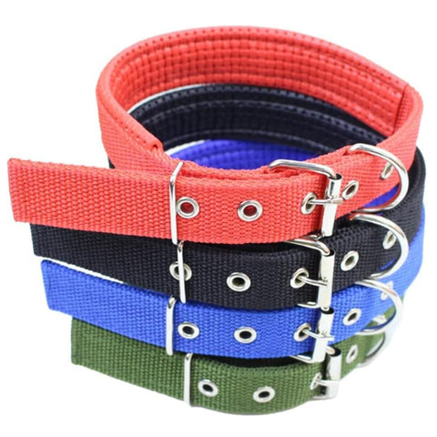 Dog Collar 2