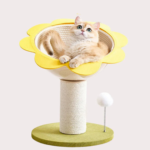 Flower Cat Scratching Post with Cozy Bed & Sisal Scratcher
