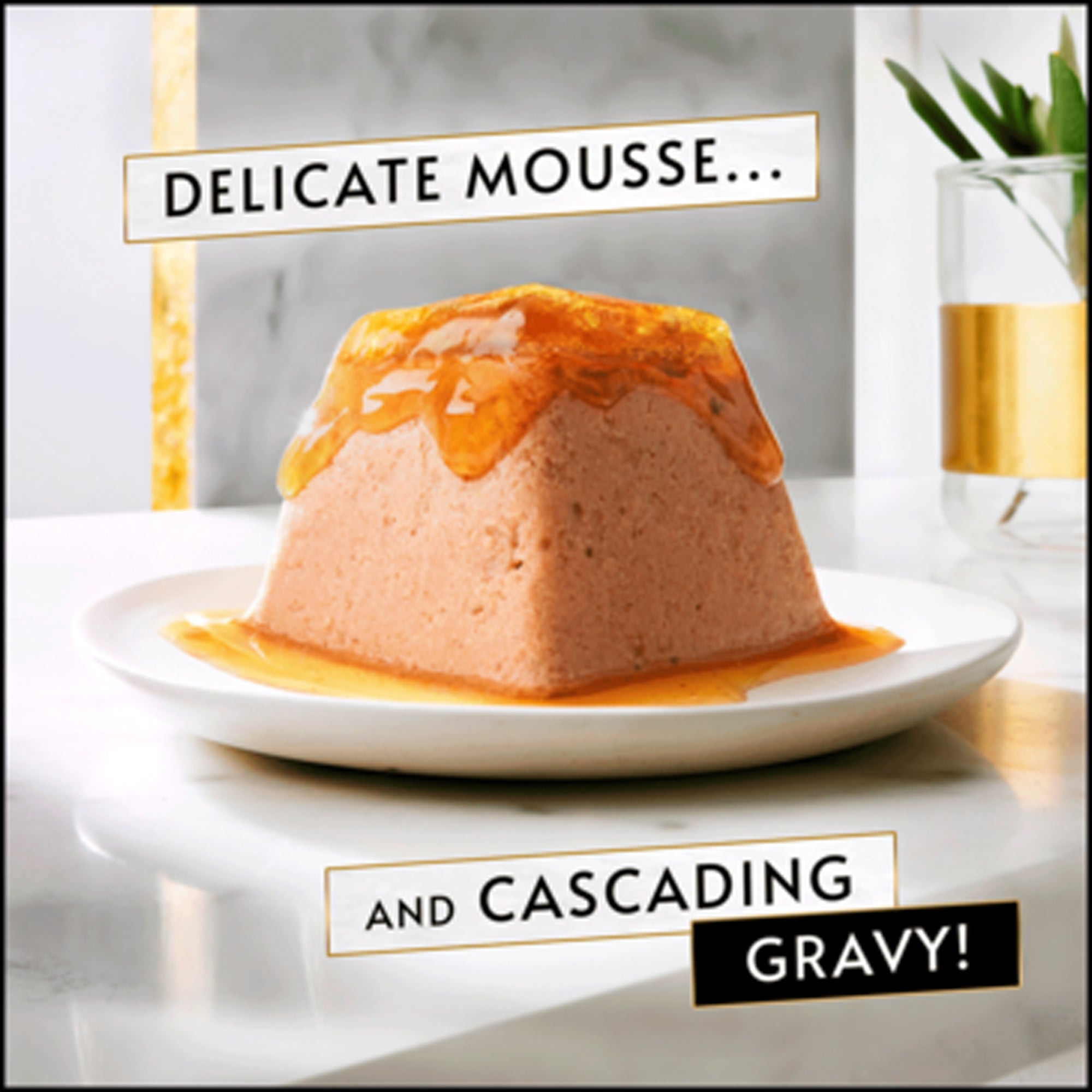 GOURMET Mousse with Chicken Wet Cat Food GOURMET Mousse with Chicken Wet Cat Food