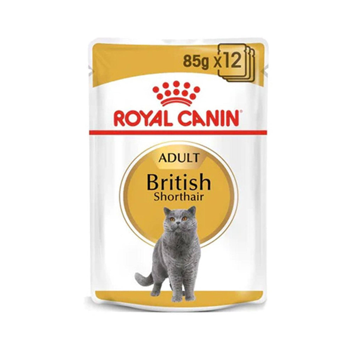 Royal Canin British Shorthair 85g