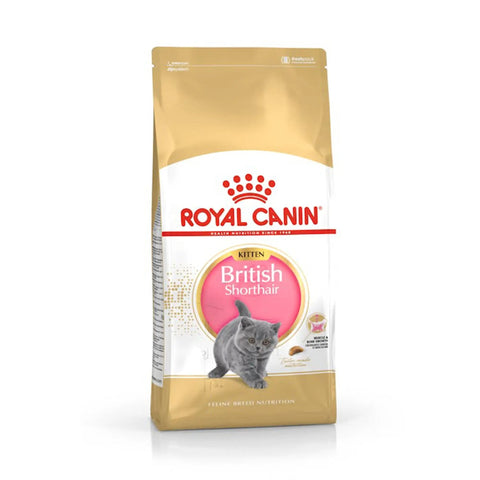 Royal Canin British Shorthair Kitten 2KG