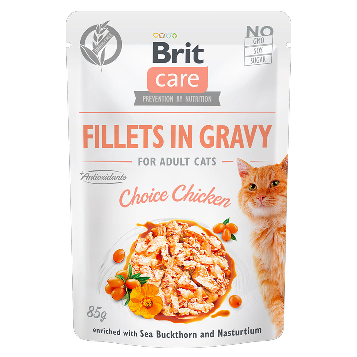 Grain-Free Cat Food Pouch: Chicken in Gravy for Cats