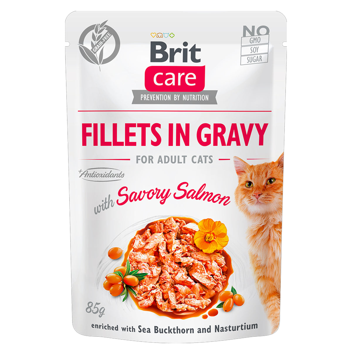 Grain-Free Brit Care Cat Pouch with Savory Salmon 85g