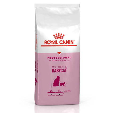 Royal Canin Mother & Baby Cat 10kg – petsyjo