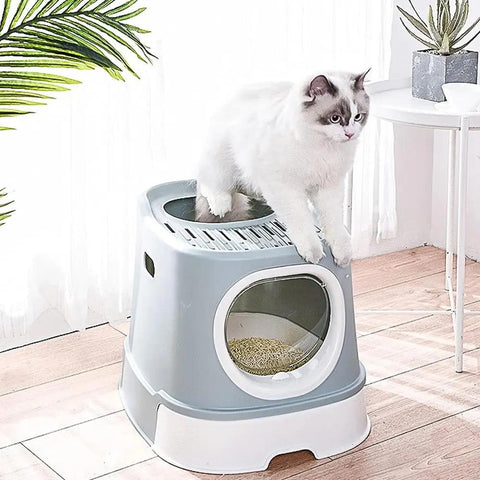 Large Cat Litter Box