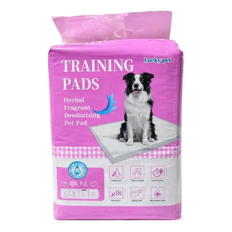 Red Dragon Dog Pads L (60x60cm) 40pcs